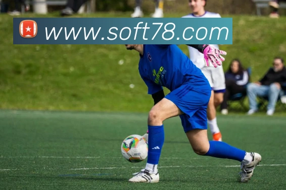 App Interface Preview